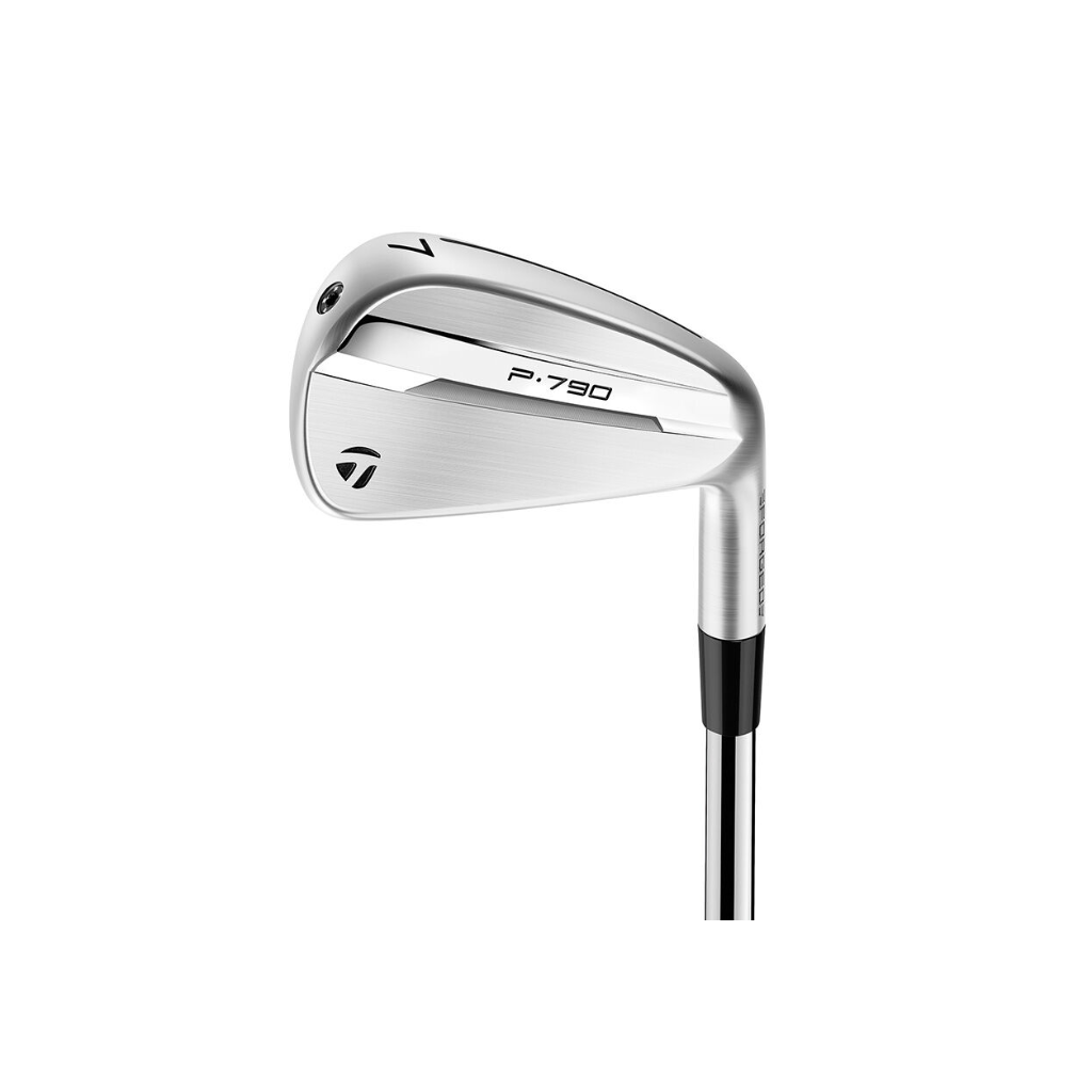 Taylormade 2021 P790 4-P/RH S pour Hommes, Argenté, Taille Unique